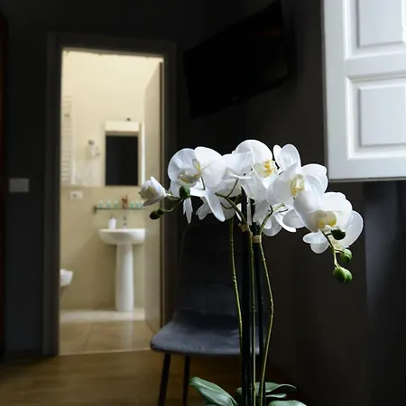 Palazzo Oliveto Bed & Breakfast *