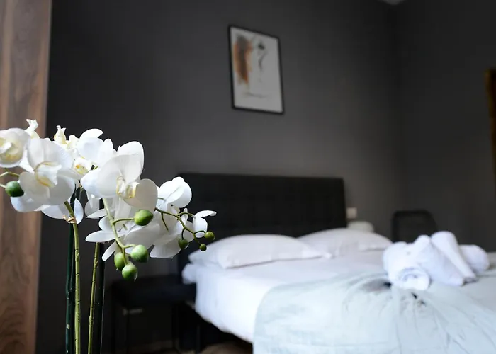 Palazzo Oliveto Firenze